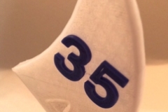 Anniversaire 35 ans bis